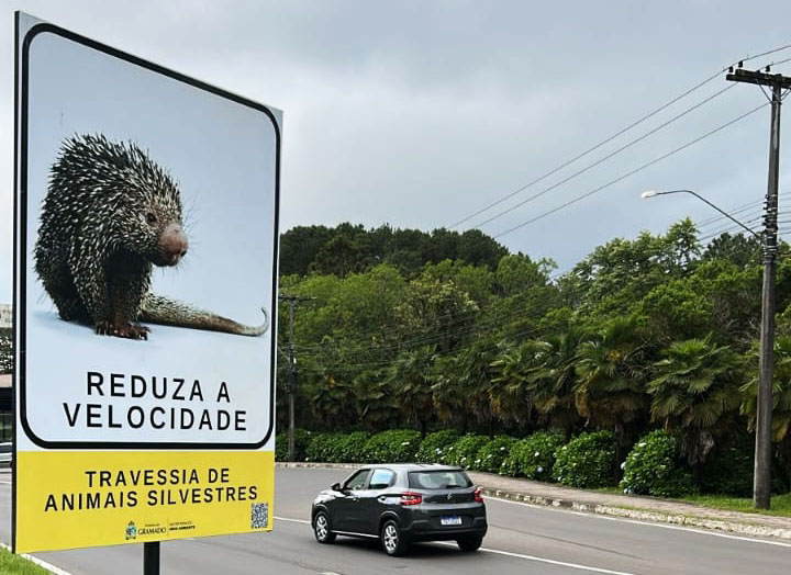 Proteção à fauna silvestre é reforçada com novas sinalizações em áreas de risco em Gramado