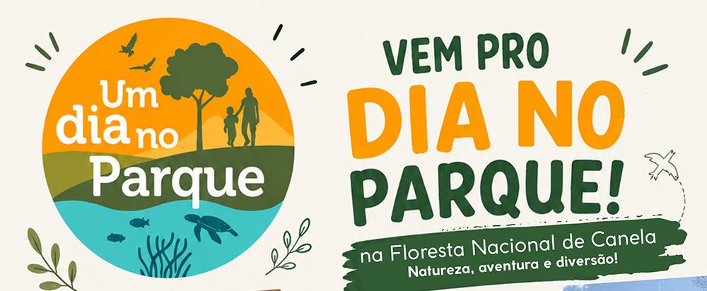 Um Dia no Parque pretende reunir pessoas que queiram se reconectar à natureza, em Canela