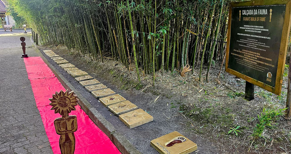 Guará-rubro entra para a Calçada da Fauna do Gramadozoo