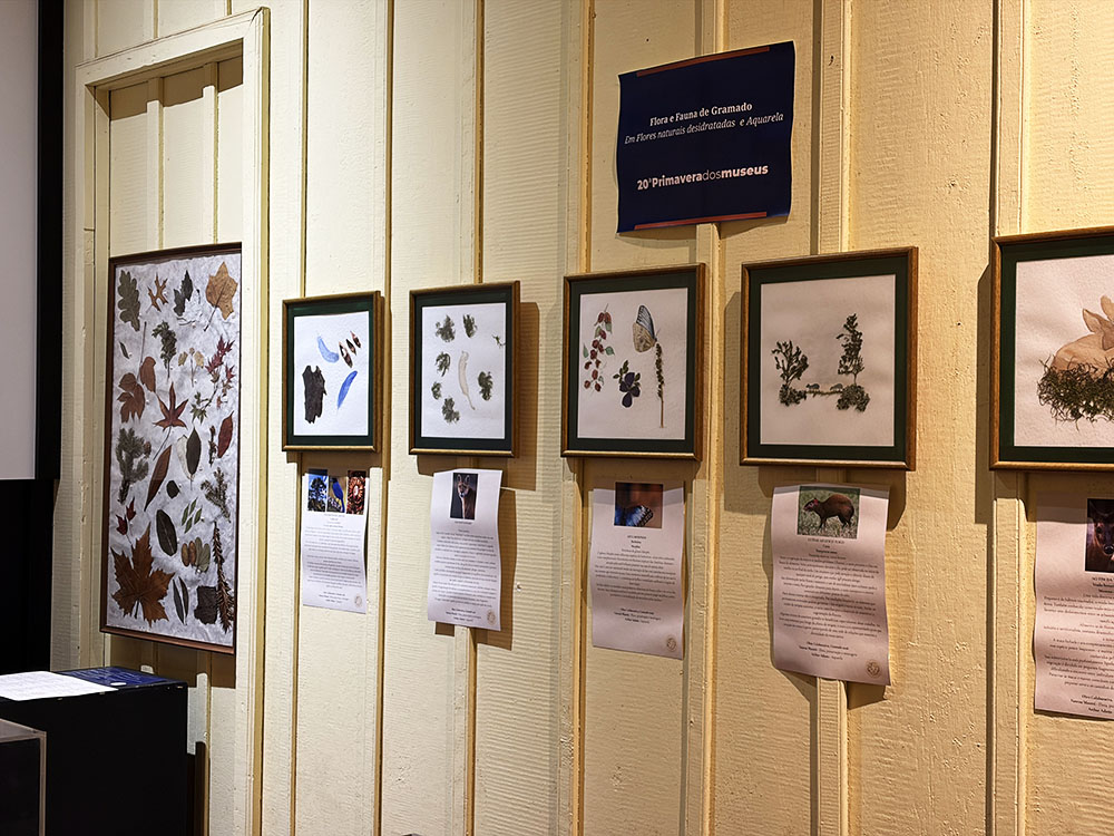 Museu Major Nicoletti recebe exposição de arte botânica da Viva Planta na 20ª Primavera dos Museus